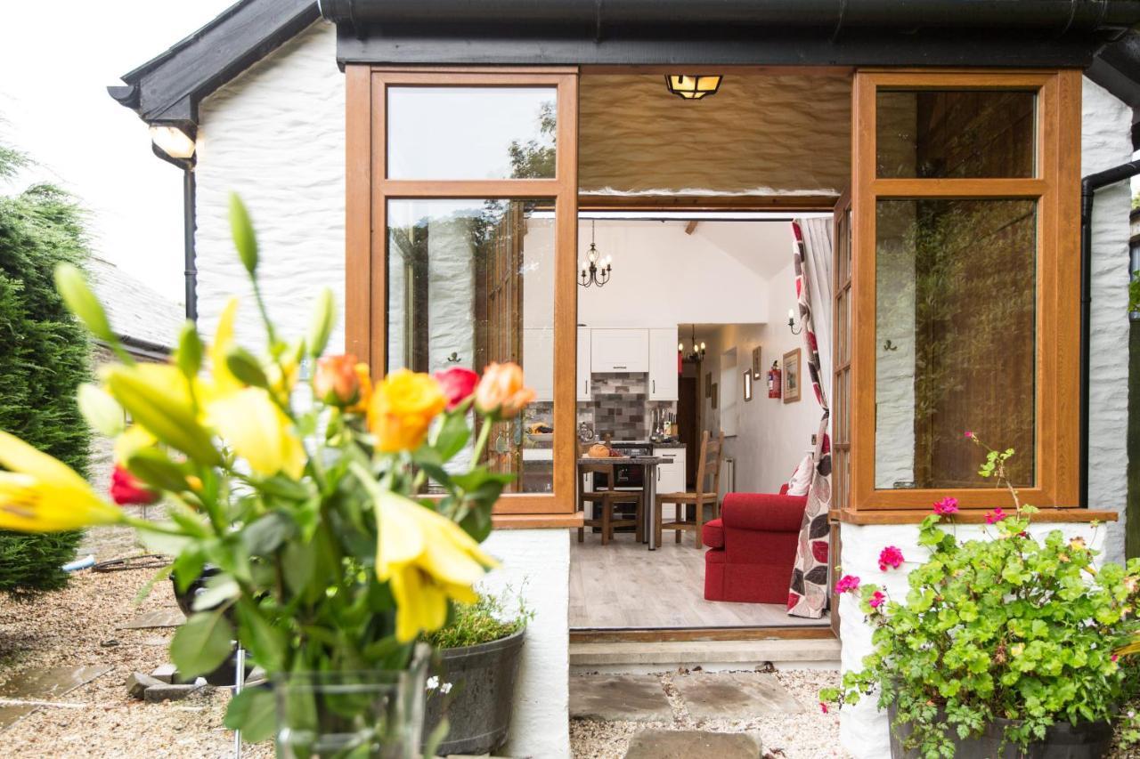 Croft Farm & Celtic Cottages Cardigan Eksteriør bilde