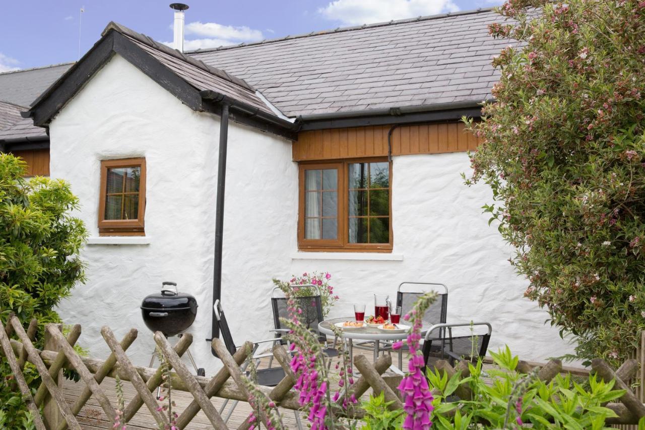 Croft Farm & Celtic Cottages Cardigan Eksteriør bilde