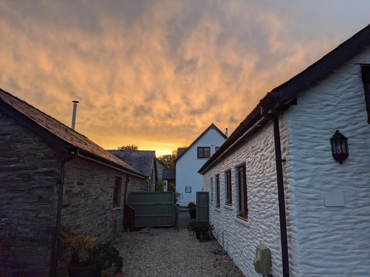 Croft Farm & Celtic Cottages Cardigan Eksteriør bilde